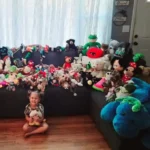 stuffed animals donation