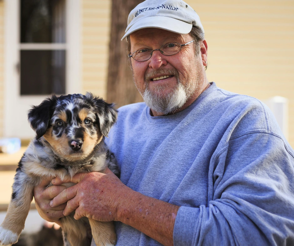 companionship with dogs